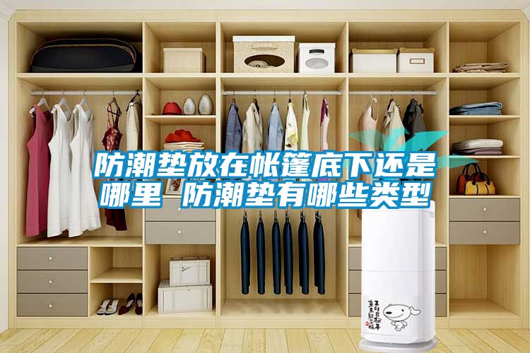 防潮墊放在帳篷底下還是哪里 防潮墊有哪些類型