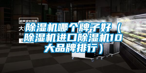除濕機(jī)哪個(gè)牌子好（除濕機(jī)進(jìn)口除濕機(jī)10大品牌排行）