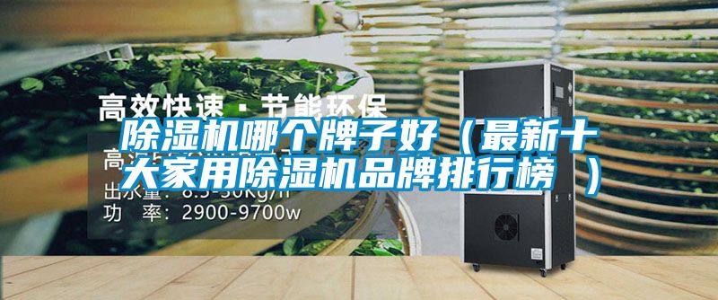 除濕機哪個牌子好（最新十大家用除濕機品牌排行榜 ）