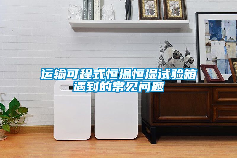 運輸可程式恒溫恒濕試驗箱遇到的常見問題