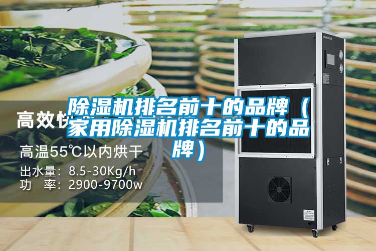 除濕機排名前十的品牌（家用除濕機排名前十的品牌）