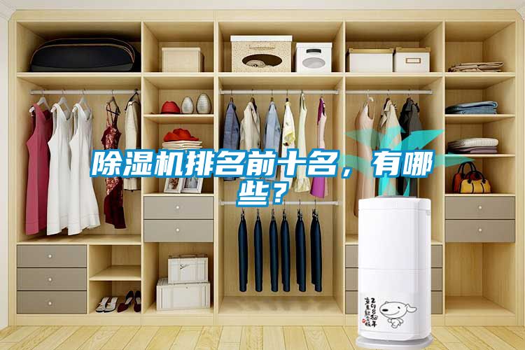 除濕機排名前十名，有哪些？