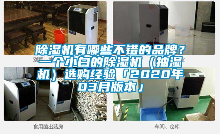除濕機(jī)有哪些不錯(cuò)的品牌？一個(gè)小白的除濕機(jī)（抽濕機(jī)）選購(gòu)經(jīng)驗(yàn)「2020年03月版本」