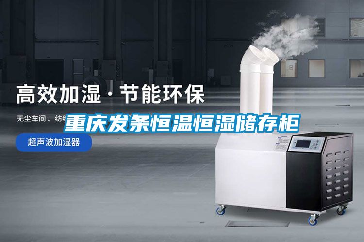 重慶發條恒溫恒濕儲存柜
