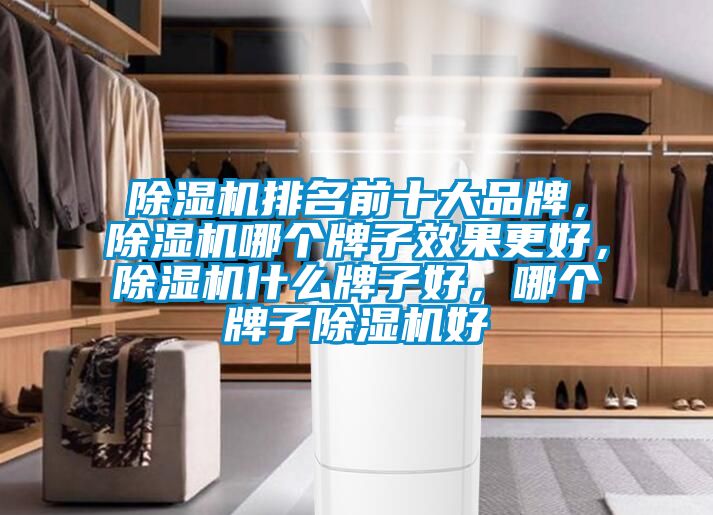 除濕機排名前十大品牌，除濕機哪個牌子效果更好，除濕機什么牌子好，哪個牌子除濕機好