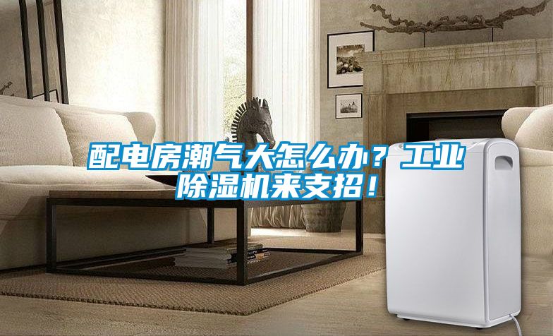 配電房潮氣大怎么辦？工業除濕機來支招！