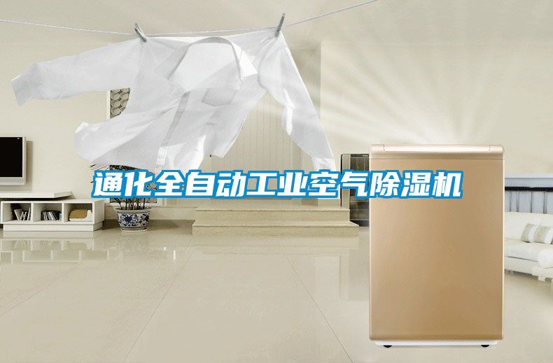 通化全自動工業空氣除濕機