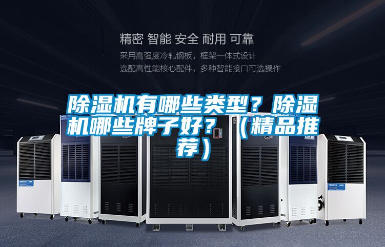 除濕機有哪些類型？除濕機哪些牌子好？（精品推薦）