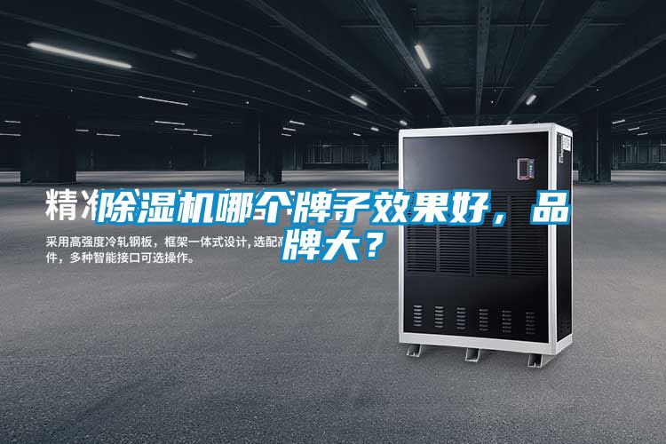 除濕機哪個牌子效果好，品牌大？