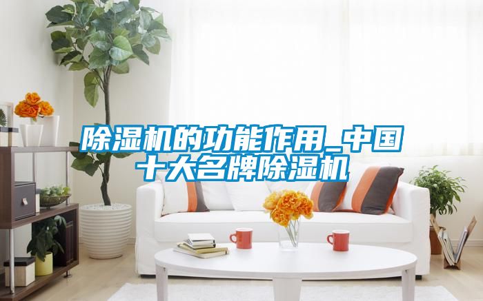 除濕機的功能作用_中國十大名牌除濕機