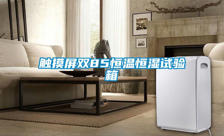 觸摸屏雙85恒溫恒濕試驗箱