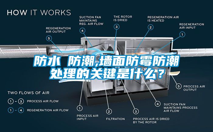 防水≠防潮,墻面防霉防潮處理的關鍵是什么？