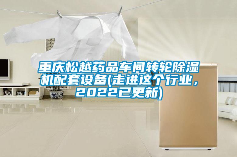 重慶松越藥品車間轉(zhuǎn)輪除濕機(jī)配套設(shè)備(走進(jìn)這個行業(yè)，2022已更新)