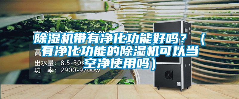 除濕機帶有凈化功能好嗎？（有凈化功能的除濕機可以當空凈使用嗎）