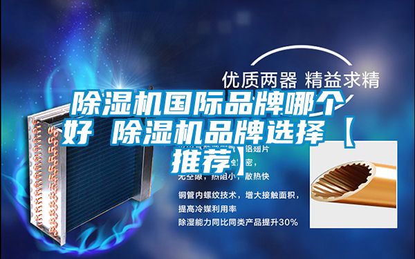 除濕機國際品牌哪個好 除濕機品牌選擇【推薦】
