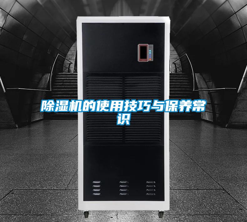 除濕機的使用技巧與保養常識