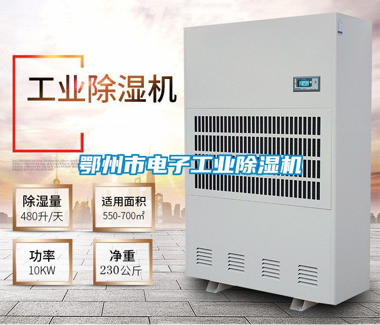 鄂州市電子工業除濕機