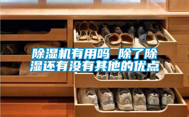 除濕機(jī)有用嗎 除了除濕還有沒有其他的優(yōu)點(diǎn)
