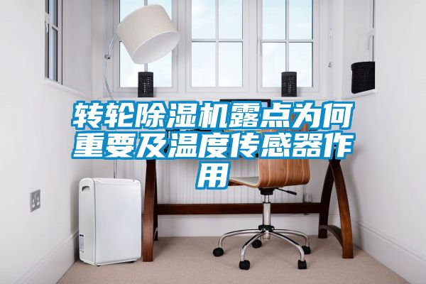 轉(zhuǎn)輪除濕機露點為何重要及溫度傳感器作用