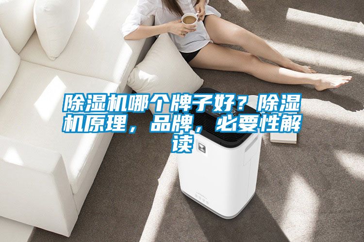 除濕機哪個牌子好？除濕機原理，品牌，必要性解讀