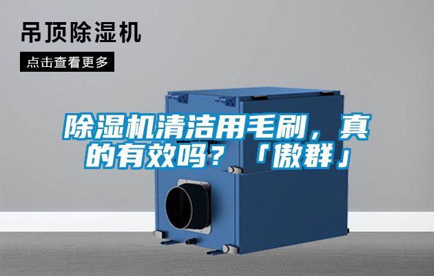 除濕機清潔用毛刷，真的有效嗎？「傲群」