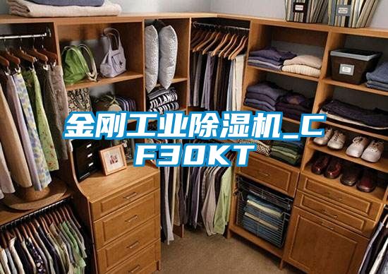 金剛工業除濕機_CF30KT
