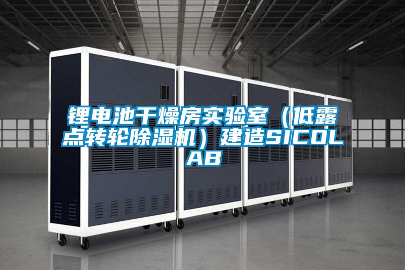 鋰電池干燥房實(shí)驗(yàn)室（低露點(diǎn)轉(zhuǎn)輪除濕機(jī)）建造SICOLAB