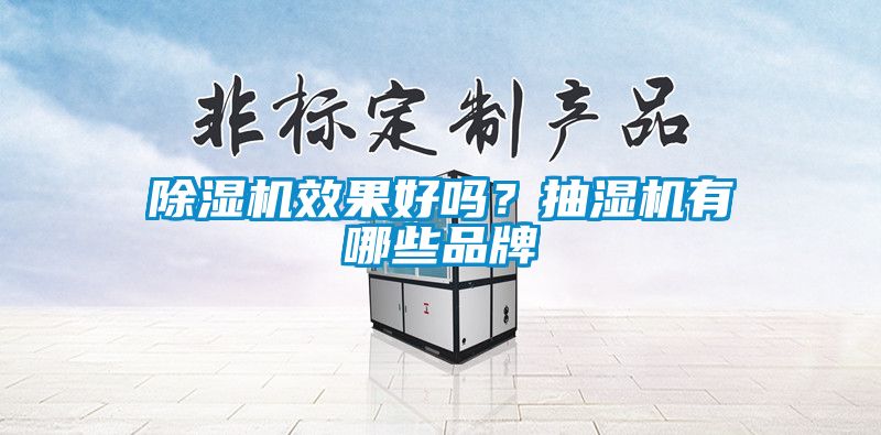 除濕機效果好嗎？抽濕機有哪些品牌