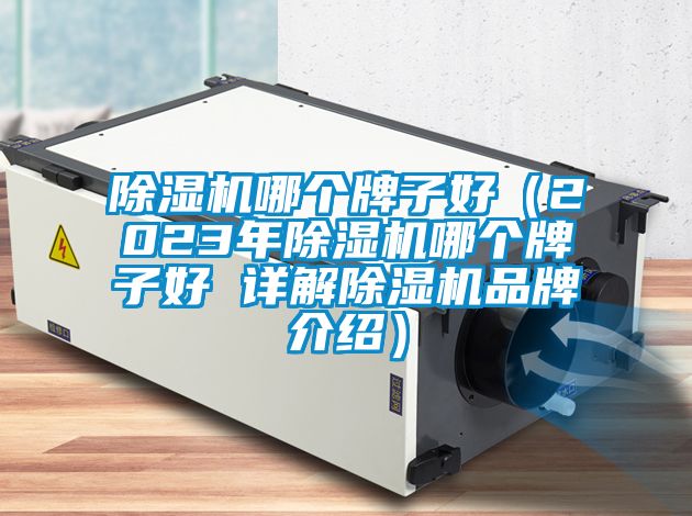 除濕機(jī)哪個牌子好（2023年除濕機(jī)哪個牌子好 詳解除濕機(jī)品牌介紹）