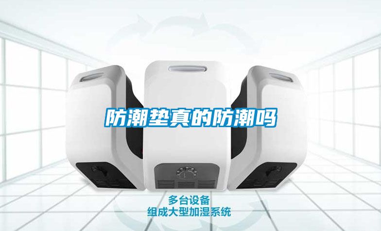 防潮墊真的防潮嗎
