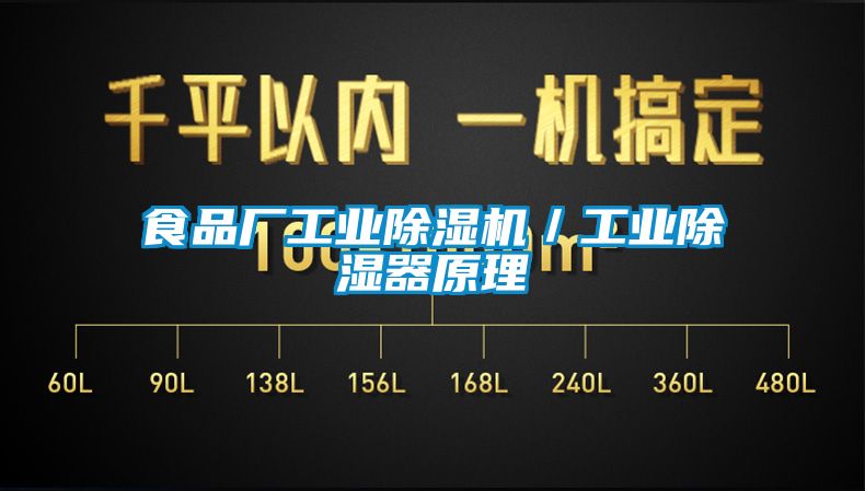 食品廠工業(yè)除濕機／工業(yè)除濕器原理