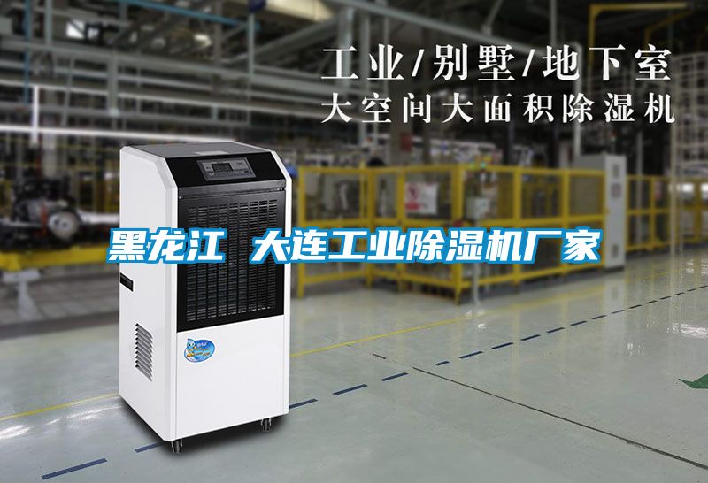 黑龍江 大連工業(yè)除濕機(jī)廠家