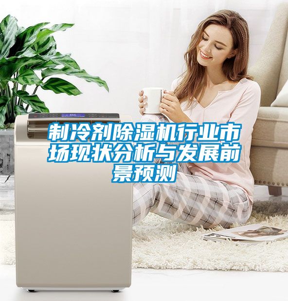 制冷劑除濕機行業市場現狀分析與發展前景預測