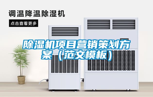 除濕機項目營銷策劃方案（范文模板）