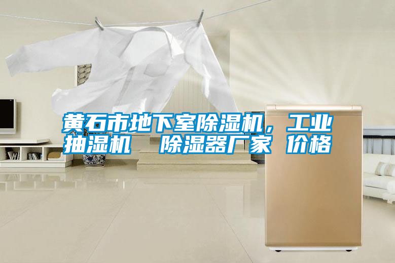 黃石市地下室除濕機(jī)，工業(yè)抽濕機(jī)  除濕器廠家 價(jià)格