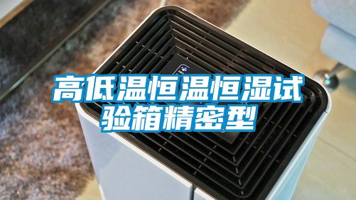 高低溫恒溫恒濕試驗箱精密型