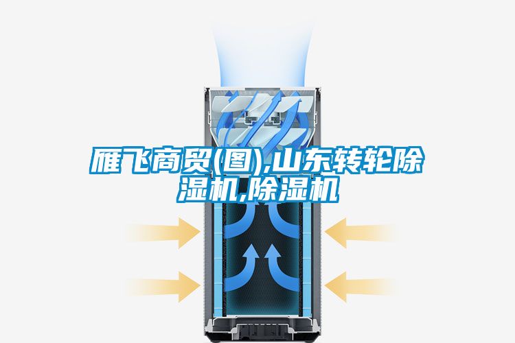 雁飛商貿(圖),山東轉輪除濕機,除濕機