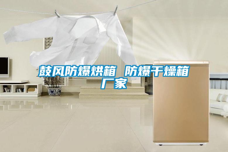 鼓風防爆烘箱 防爆干燥箱廠家