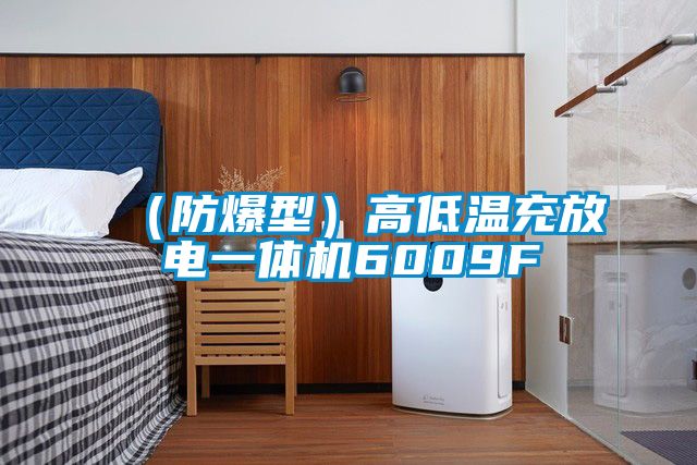 （防爆型）高低溫充放電一體機6009F