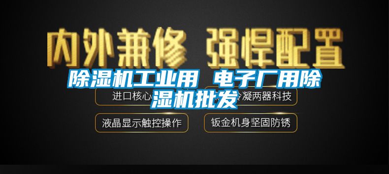 除濕機工業用 電子廠用除濕機批發