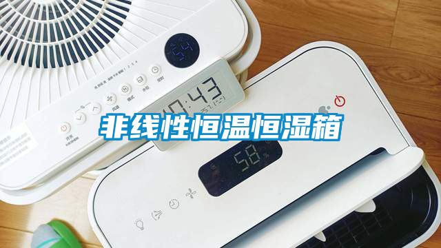 非線性恒溫恒濕箱