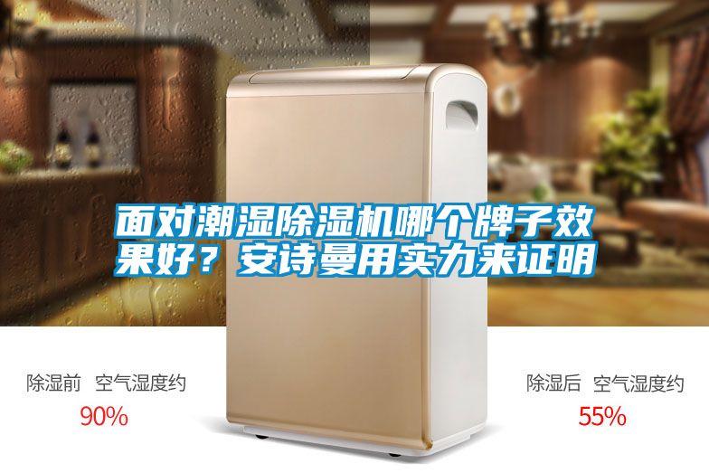 面對(duì)潮濕除濕機(jī)哪個(gè)牌子效果好？安詩曼用實(shí)力來證明