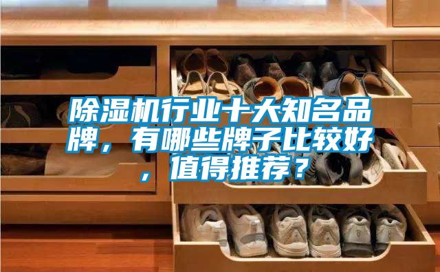 除濕機行業十大知名品牌，有哪些牌子比較好，值得推薦？