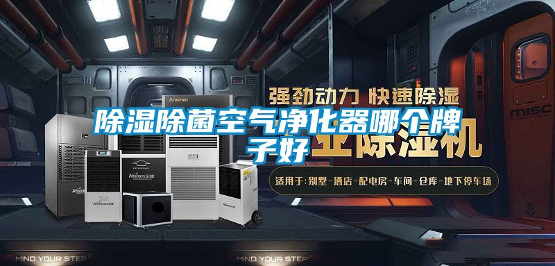 除濕除菌空氣凈化器哪個(gè)牌子好
