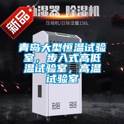 青島大型恒溫試驗室，步入式高低溫試驗室，高溫試驗室