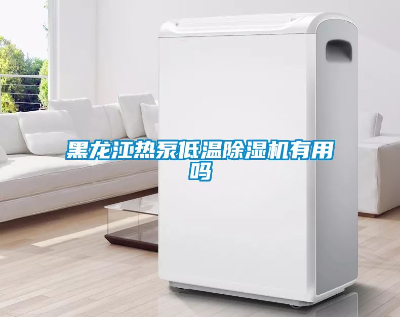 黑龍江熱泵低溫除濕機有用嗎