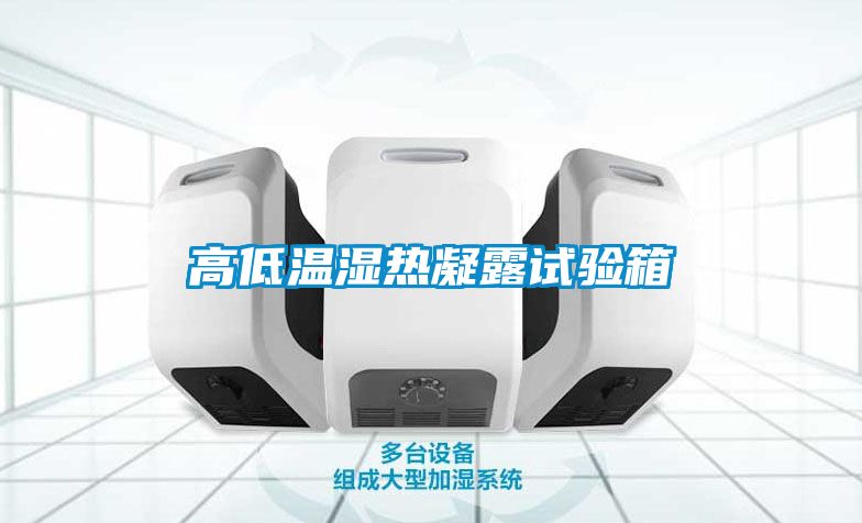 高低溫濕熱凝露試驗箱