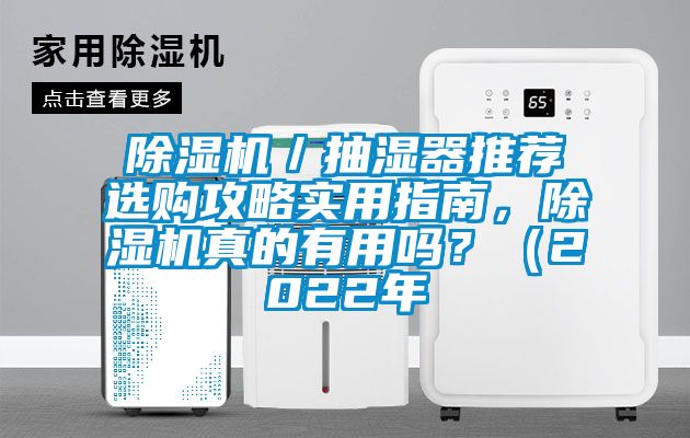 除濕機／抽濕器推薦選購攻略實用指南，除濕機真的有用嗎？（2022年