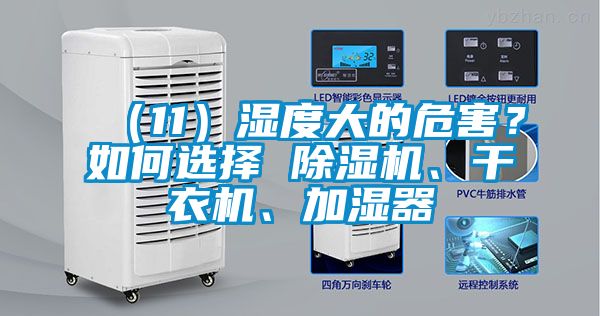 （11）濕度大的危害？如何選擇 除濕機、干衣機、加濕器
