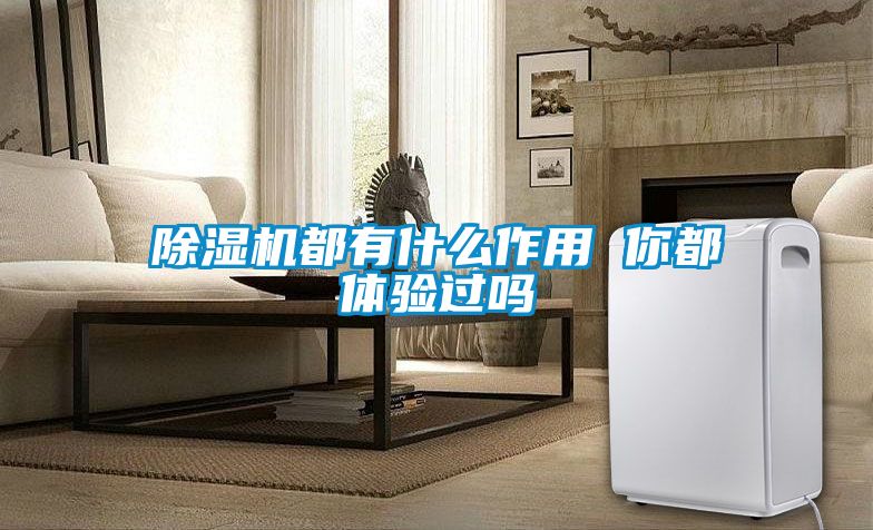 除濕機都有什么作用 你都體驗過嗎